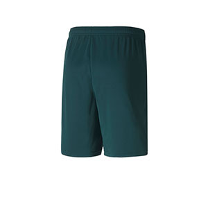 Short Puma 3a Italia 2019 2020 - Pantalón corto Puma 3a equipación Italia 2019 2020 - verde oscuro - trasera