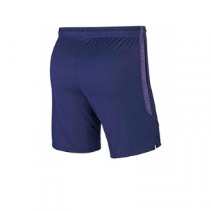 Short Nike Tottenham entreno 19 2020 Dry Strike - Pantalón corto de entrenamiento Nike Tottenham Hotspur FC 2019 2020 - azul marino - trasera