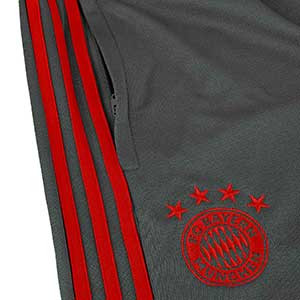 Pantalón largo entreno Bayern 18 - 19 - Pantalón largo de entrenamiento adidas Bayern 2018 - 2019 - Gris - detalle escudo