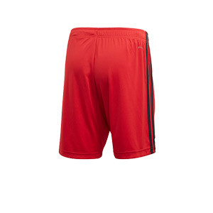 Short adidas Bélgica 2019 2020 - Pantalón corto primera equipación selección belga 2019 2020 - rojo - trasera