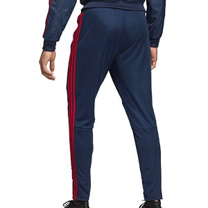 Pantalón adidas Arsenal entreno 2019 2020 - Pantalón largo entrenamiento adidas Arsenal 2019 2020 - azul marino - trasera