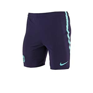 Short Nike Barcelona entreno 18 2019 Squad - Pantalón corto de entrenamiento del FC Barcelona 2018 - 2019 - morado / azul - frontal