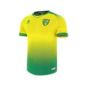 Camiseta Errea Norwich 2019 2020 - Camiseta Errea primera equipación Norwich 2019 2020 - amarilla y verde - frontal